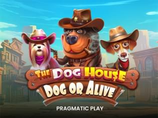 The Dog House: Dog or Alive